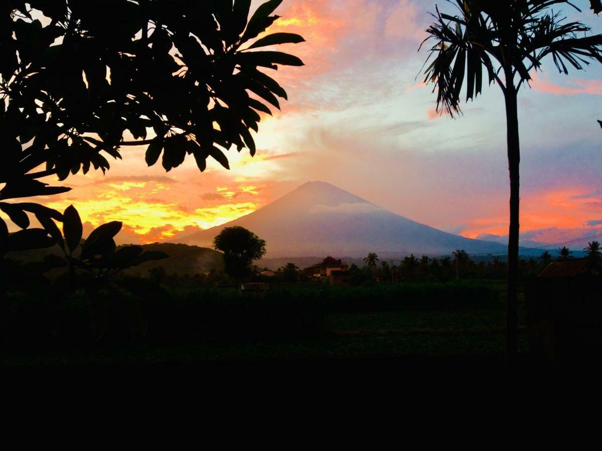 D'uma Amed Homestay Exterior foto