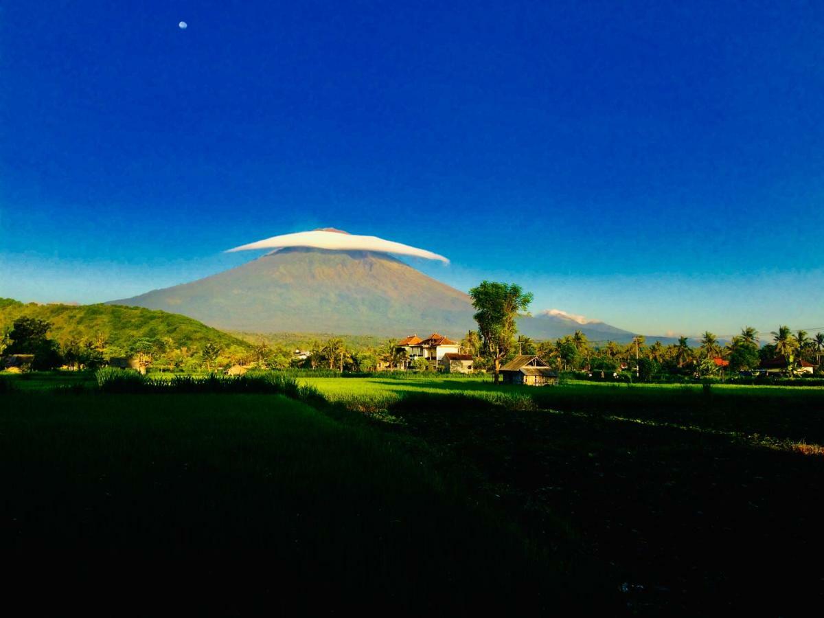 D'uma Amed Homestay Exterior foto