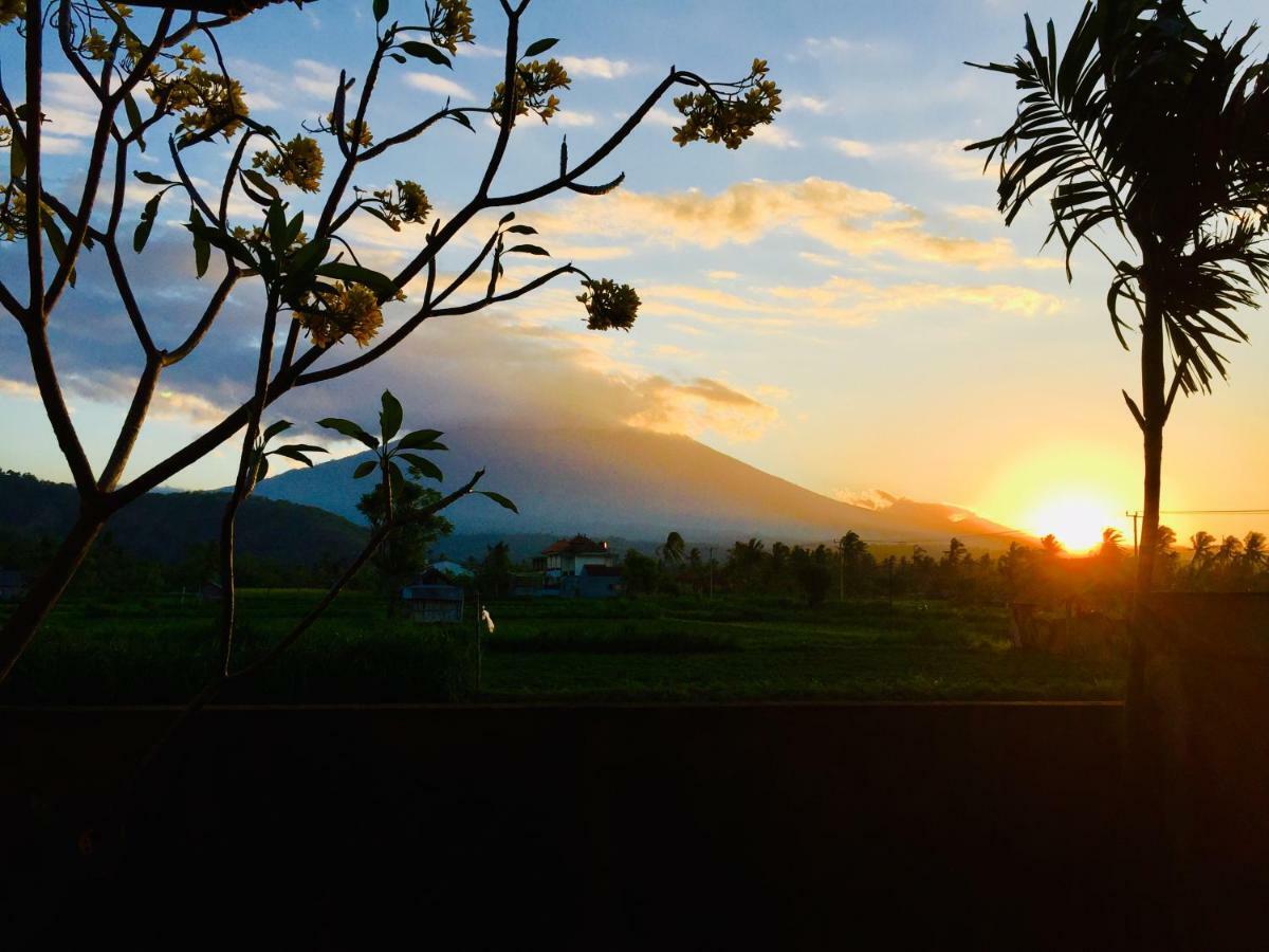 D'uma Amed Homestay Exterior foto